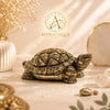 Natural Pyrite Crafted Tortoise