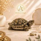 Natural Pyrite Crafted Tortoise