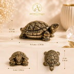 Natural Pyrite Crafted Tortoise